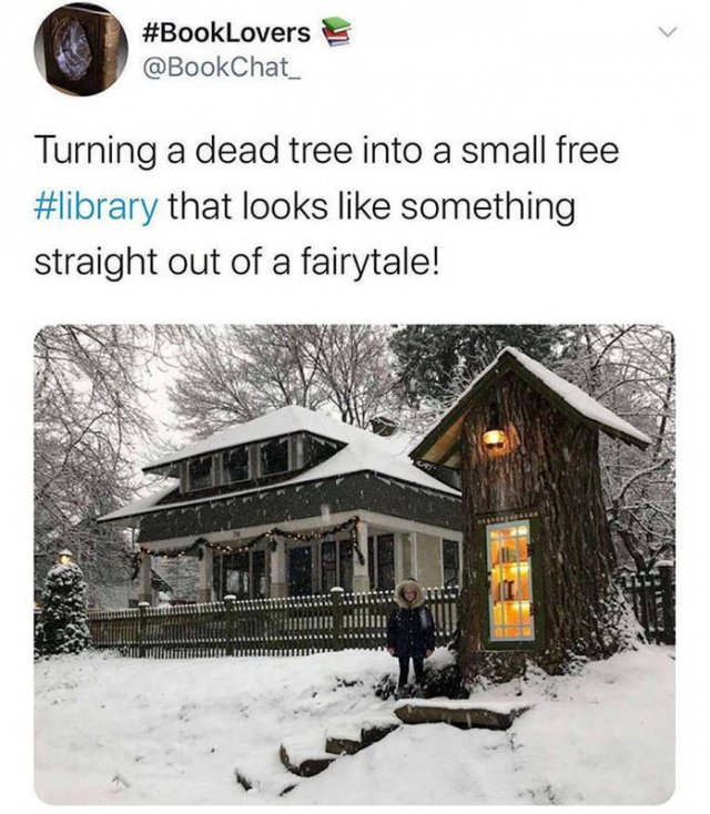 Wholesome Stories, part 17