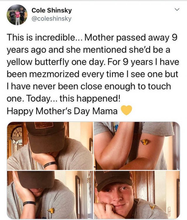 Wholesome Stories, part 18