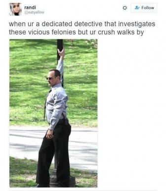 'Law & Order: SVU' Memes