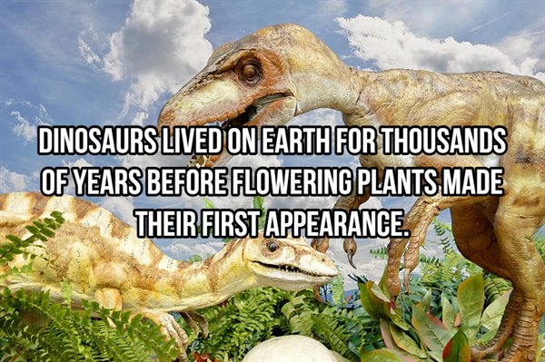 Interesting Facts, part 84