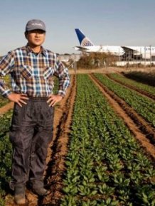 Japanese Farmer That Lives In The Middle Of An Airport