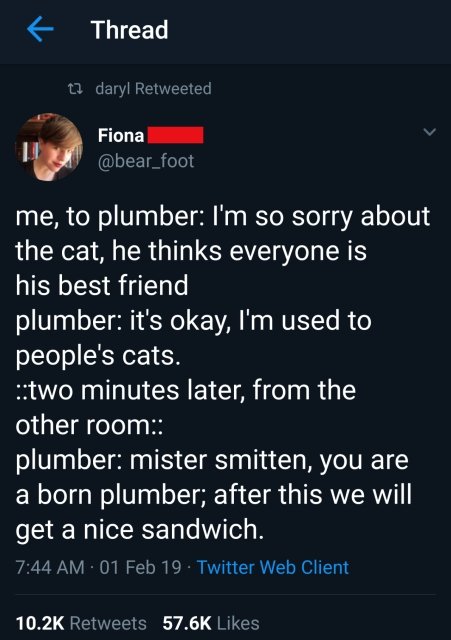 Wholesome Stories, part 19