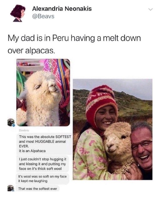 Wholesome Stories, part 19