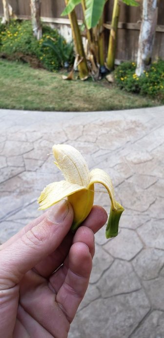 People Show Off Their Tiny Harvests