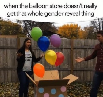 Gender Reveal Memes