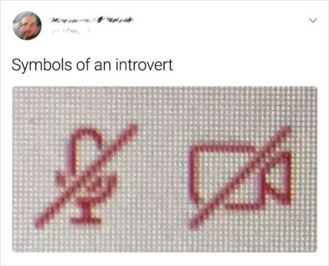 Everything About Introverts
