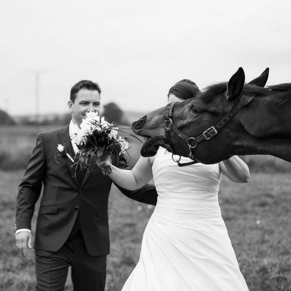 Weird Marriage Photos
