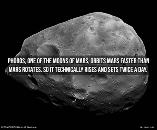 Moon Facts