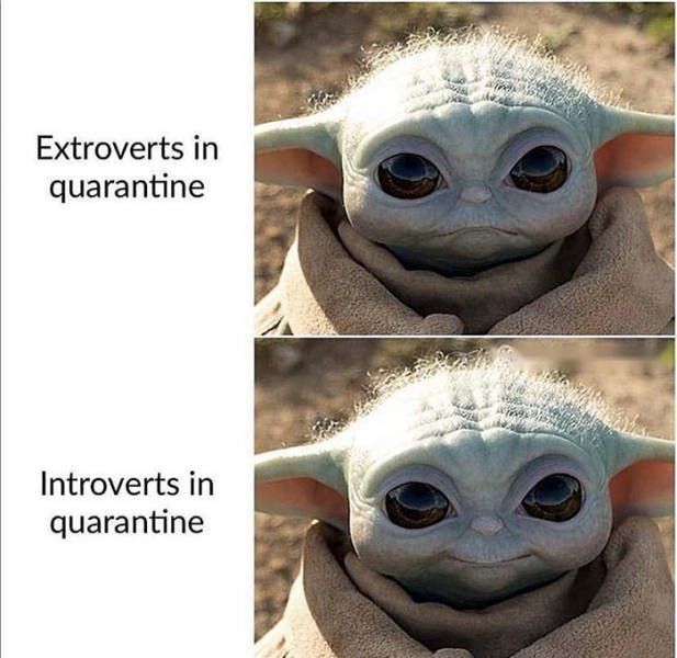 Introvert Memes, part 3