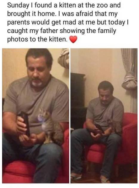 Wholesome Stories, part 23