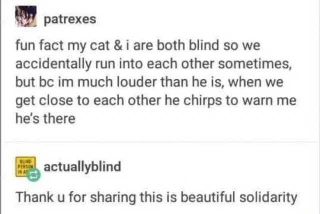 Wholesome Stories, part 24