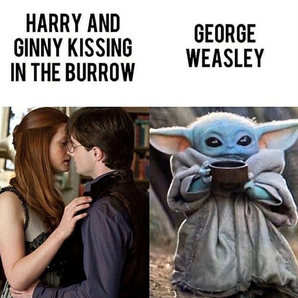 Harry Potter Memes and - Harry Potter Memes and Stuff