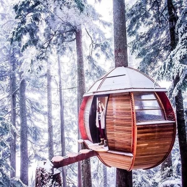 Charming Treehouses