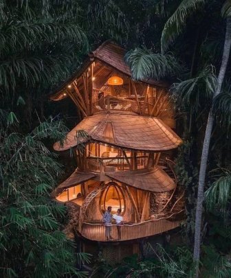 Charming Treehouses