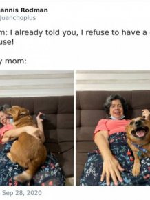 These Moms Refused To Have Dogs