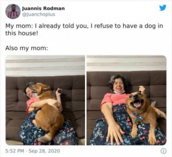 These Moms Refused To Have Dogs