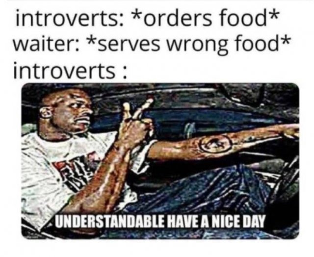 Introvert Memes, part 5