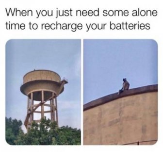 Introvert Memes