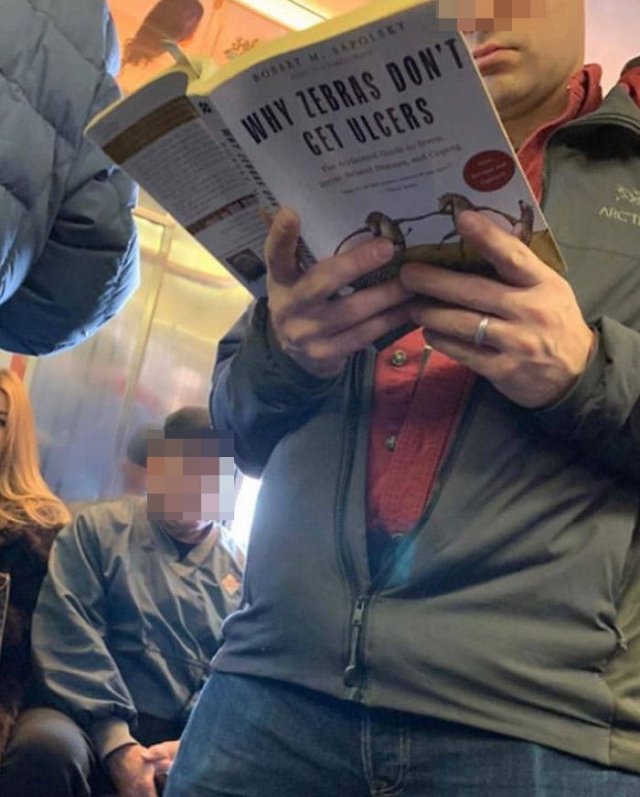Subway Books