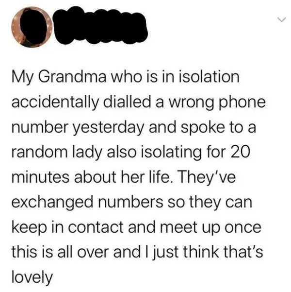 Wholesome Stories, part 28