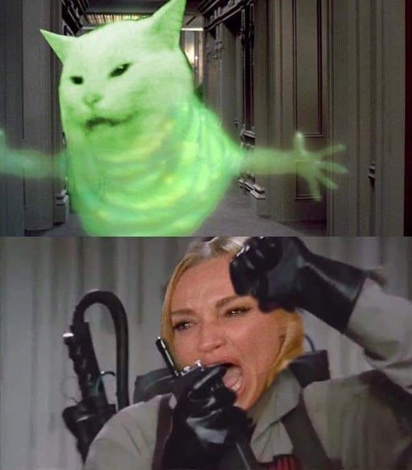 Ghostbusters Memes.