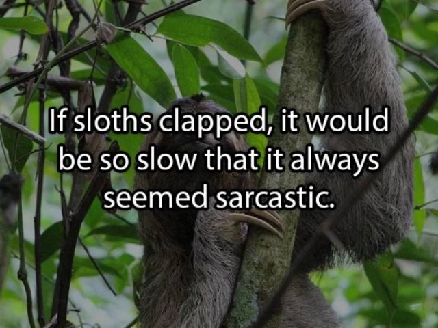 Shower Thoughts, part 97