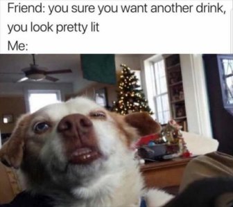 Alcohol Memes And Pictures