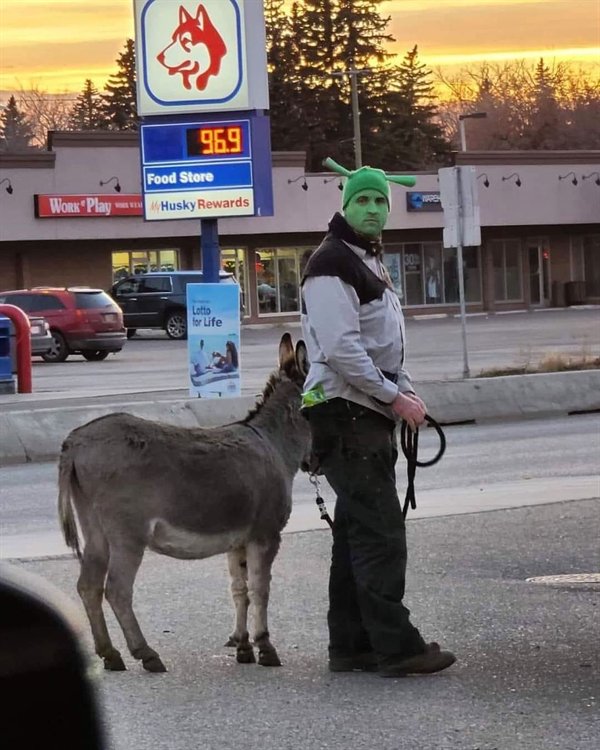 Only In Canada, part 28
