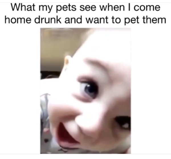 Alcohol Memes And Pictures, part 12