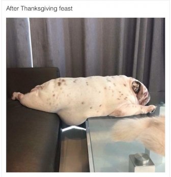 Thanksgiving Memes And Pictures