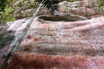 Prehistoric Paintings Were Discovered In Amazon Rainforest