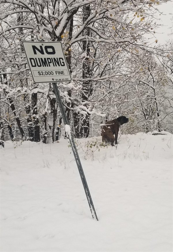 Only In Canada, part 30