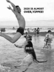 2021 Memes