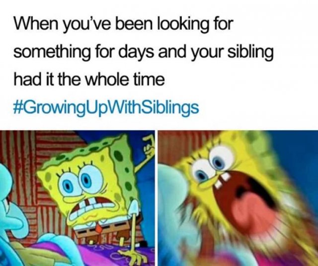Sibling Memes, part 2