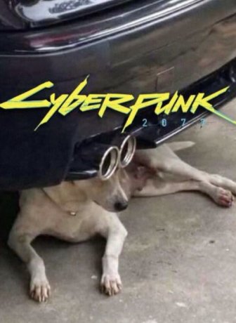 Cyberpunk Memes