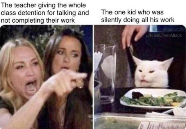 Woman Yelling At The Cat Memes