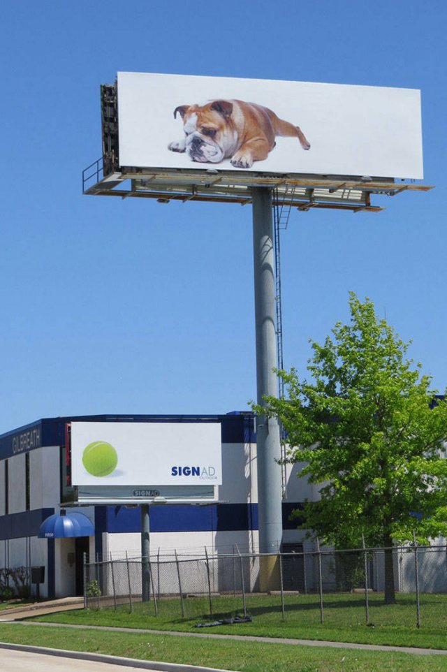 Unusual Billboard Designs