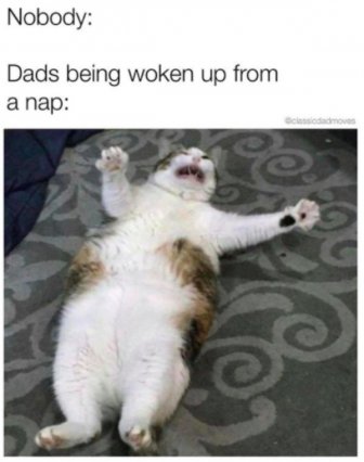 Dad Memes