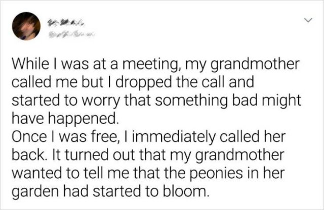 Everything About Grandparents