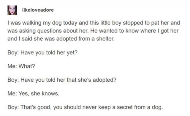 Wholesome Stories, part 40