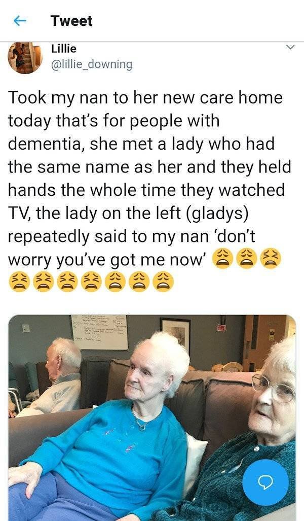Wholesome Stories, part 41
