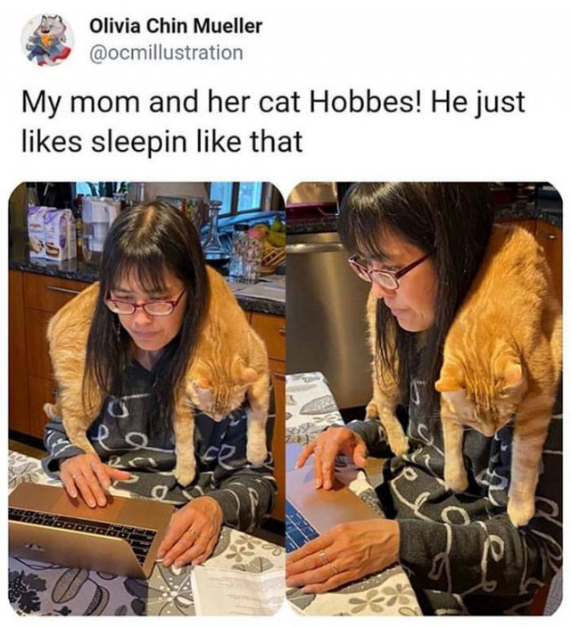 Wholesome Stories, part 43