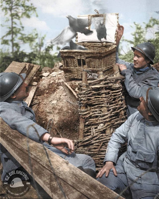 Historical Photos In Color