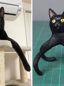 This Japanese Artist Turns Funny Animal Photos Into Sculptures