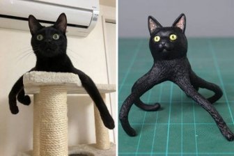 This Japanese Artist Turns Funny Animal Photos Into Sculptures