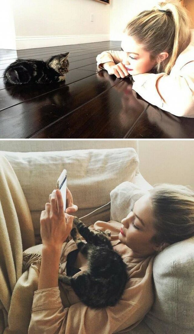 Celebrities With Their Pets
