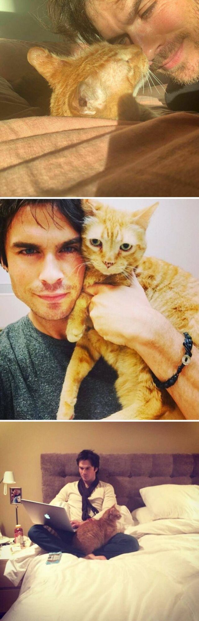 Celebrities With Their Pets
