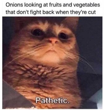 Food Memes And Tweets