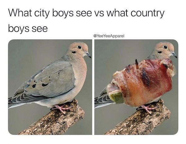 Country Memes