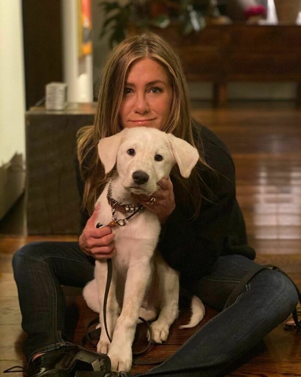 Celebrities With Their Dogs